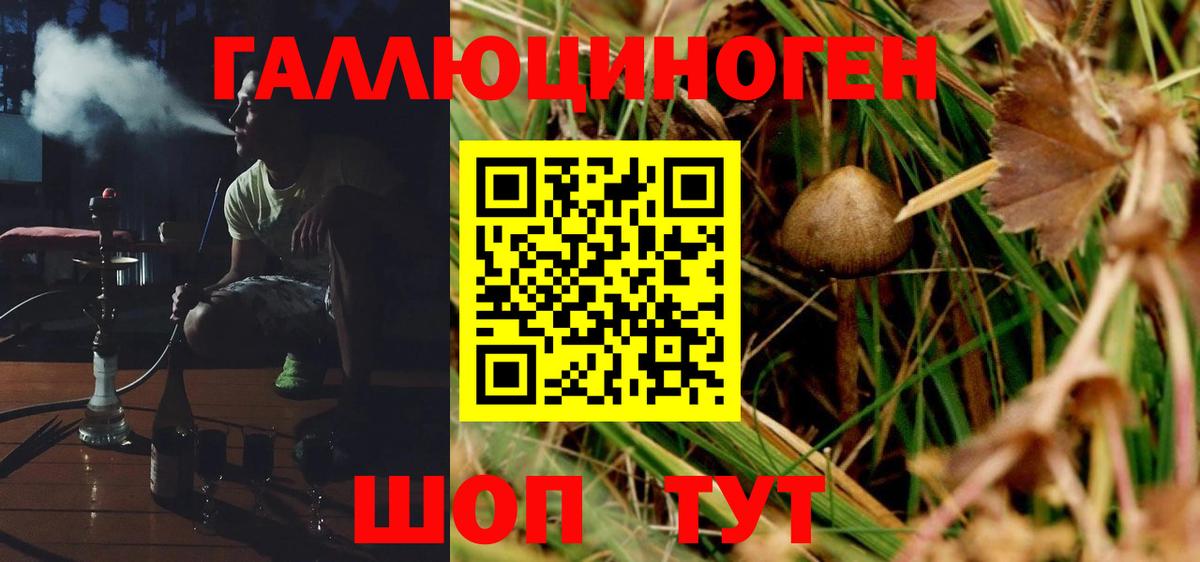 Псилоцибиновые грибы MAGIC MUSHROOMS Северобайкальск
