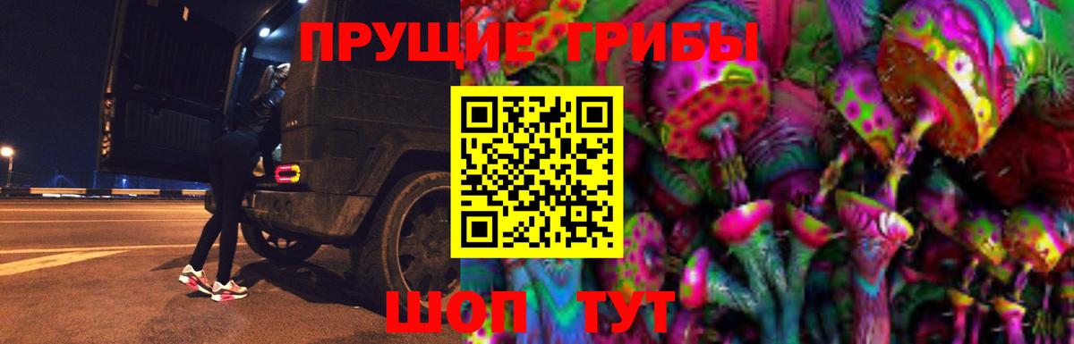Северобайкальск  Галлюциногенные грибы Psilocybe  дарнет шоп  Вход с VPN 